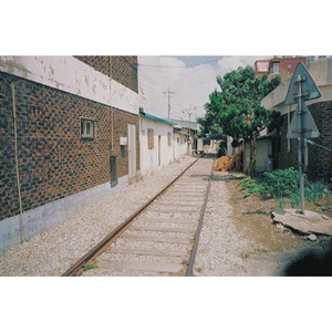 Angelina高潮在线观看
